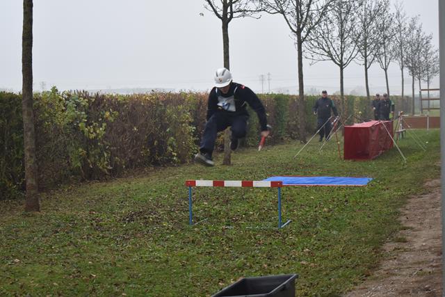 FJLA Gold 20181110 Lfs Tulln 015