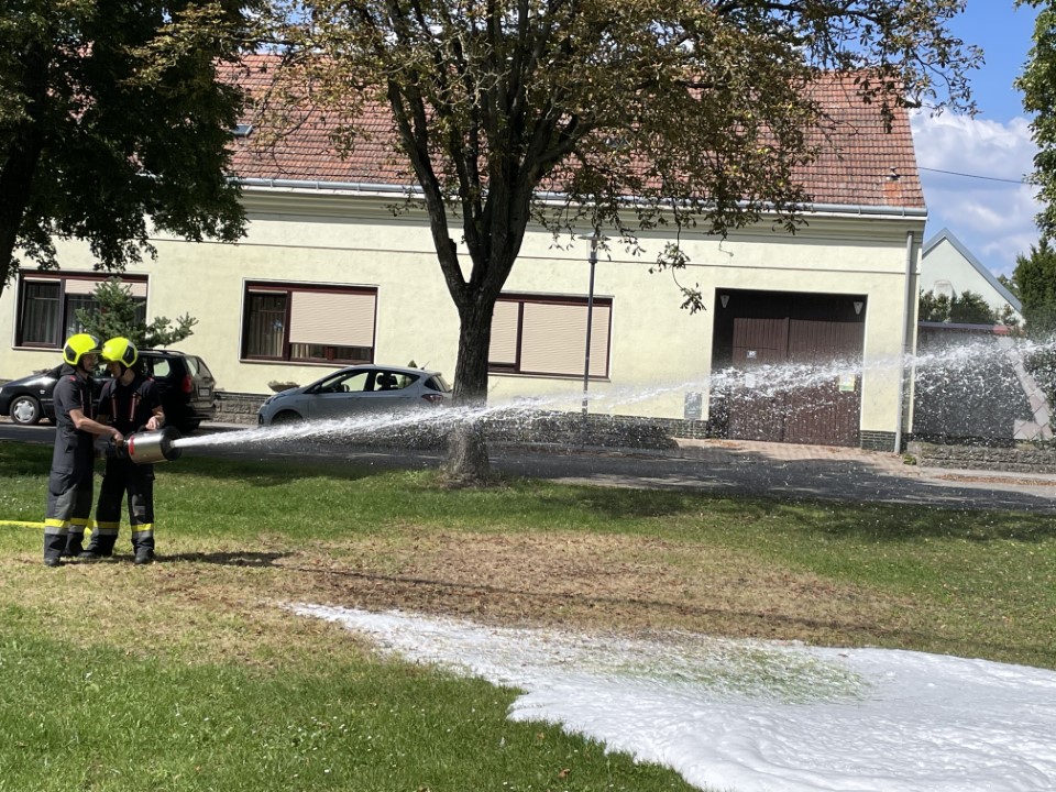 1197e4b8-0ddc-4db6-a873-970b08a5d858