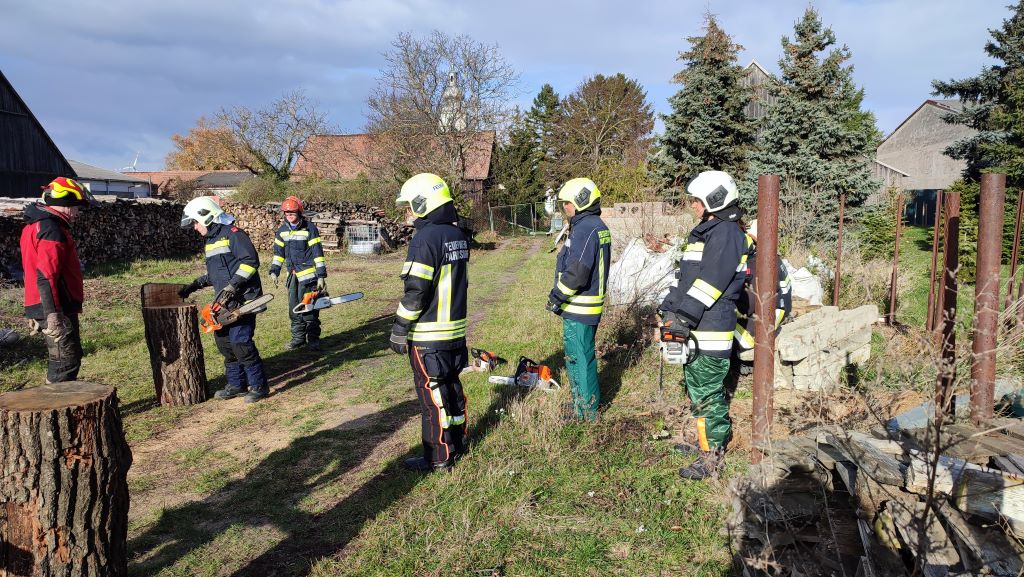 IMG 20231125 112127 verkl