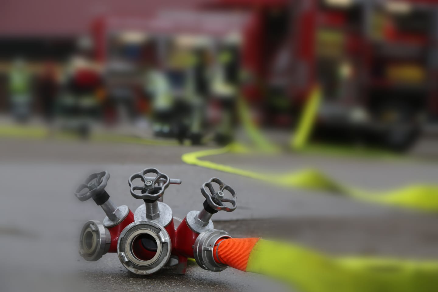 Foto 03.11.18 11 49 57 1